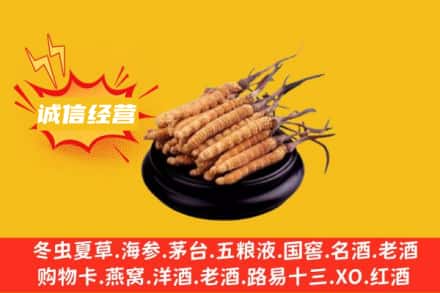 红河州弥勒回收冬虫夏草